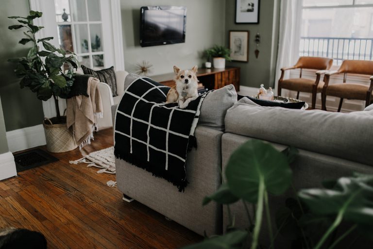 14 Ide Warna Cat Rumah yang Sejuk Untuk Interior dan Eksterior 12 Ide Warna Cat Rumah yang Sejuk